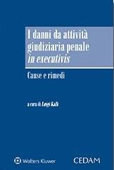 Danni da attività giudiziaria penale in executivis. Cause e rimedi - Luigi Kalb - copertina