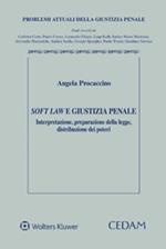 Soft law e giustizia penale