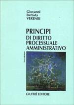 Principi di diritto processuale amministrativo