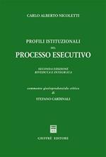 Profili istituzionali del processo esecutivo