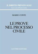 Le prove nel processo civile