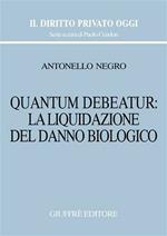 Quantum debeatur: la liquidazione del danno biologico