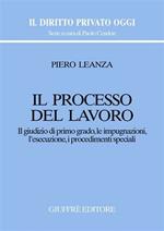 Il processo del lavoro. Il giudizio di primo grado, le impugnazioni, l'esecuzione, i procedimenti speciali