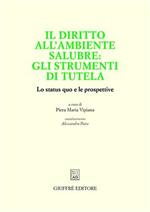 Il diritto all'ambiente salubre: gli strumenti di tutela. Lo status quo e le prospettive