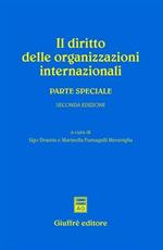 Il diritto delle organizzazioni inernazionali. Parte speciale