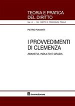 I provvedimenti di clemenza. Amnistia, indulto e grazia