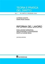 Riforma del lavoro. Evoluzione normativa, applicazione e contenzioso dopo la legge Biagi