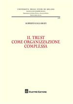 Il trust come organizzazione complessa