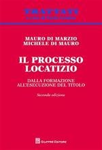 Il processo locatizio. Dalla formazione all'esecuzione del titolo