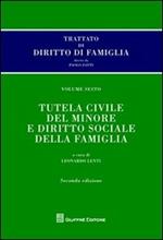 Trattato di diritto di famiglia. Vol. 6: Tutela civile del minore e diritto sociale della famiglia.