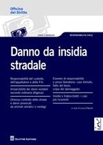 Danno da insidia stradale