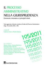 Il processo amministrativo nella giurisprudenza. Commento sistematico ai principali istituti