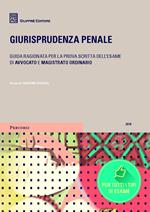 Giurisprudenza penale