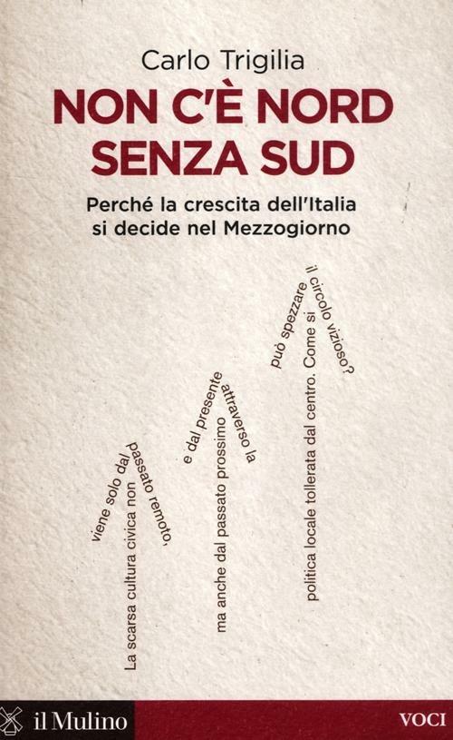 Non c'è Nord senza Sud. Perché la crescita dell'Italia si decide nel Mezzogiorno - Carlo Trigilia - copertina