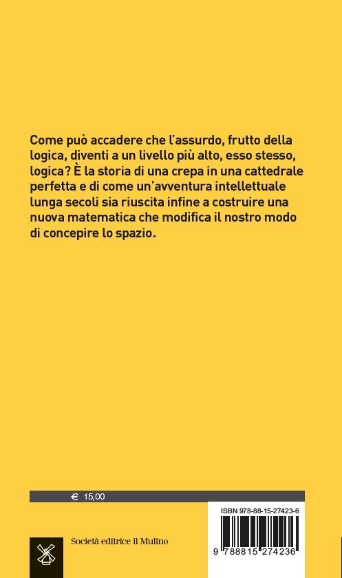 Geometrie senza limiti. I mondi non euclidei - Laura Catastini,Franco Ghione - 2