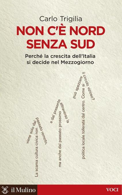 Non c'è Nord senza Sud. Perché la crescita dell'Italia si decide nel Mezzogiorno - Carlo Trigilia - ebook