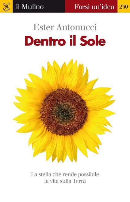 Dentro il sole. La stella che rende possibile la vita sulla terra - Ester Antonucci - ebook