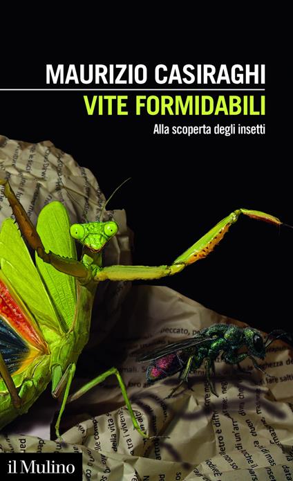 Vite formidabili. Alla scoperta degli insetti - Maurizio Casiraghi - ebook