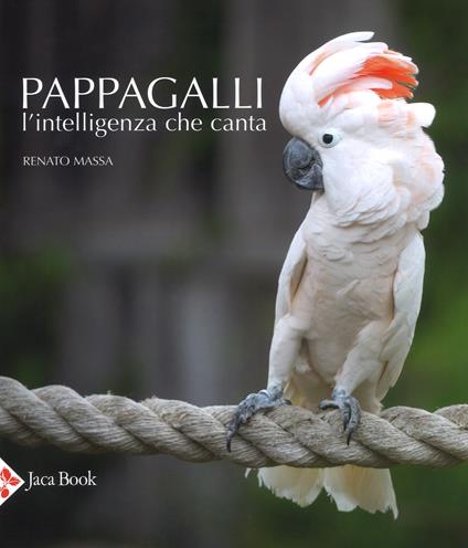 Pappagalli. L'intelligenza che canta. Ediz. illustrata - Renato Massa - copertina