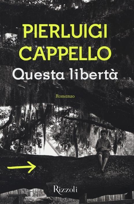 Questa libertà - Pierluigi Cappello - 3