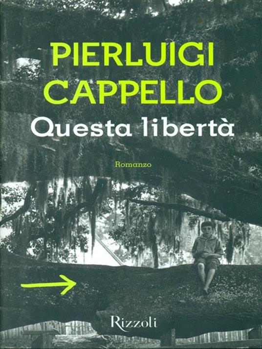 Questa libertà - Pierluigi Cappello - 5