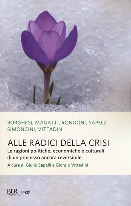 Alle radici della crisi. Le ragioni politiche, economiche e culturali di un processo ancora reversibile - copertina