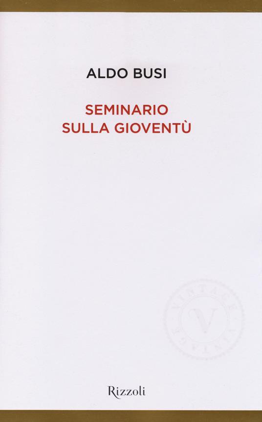 Seminario sulla gioventù - Aldo Busi - copertina