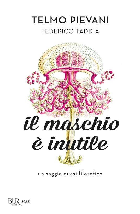 Il maschio è inutile. Un saggio quasi filosofico - Telmo Pievani,Federico Taddia - copertina