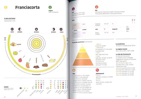 Vinology. Sommelier. Tutto quello che devi sapere per conoscere e gustare  il vino di Alessandro Torcoli, Antonella Giardina: Bestseller in Vini -  9788817097765