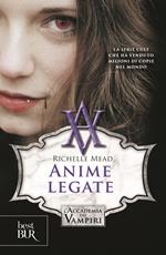 Anime legate. L'accademia dei vampiri. Vol. 5