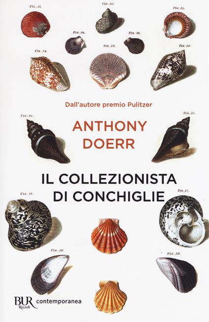 Il collezionista di conchiglie - Anthony Doerr - copertina