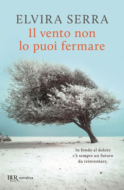 Il vento non lo puoi fermare - Elvira Serra - copertina