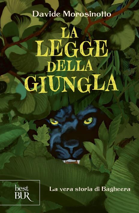 La legge della giungla. La vera storia di Bagheera - Davide Morosinotto - copertina