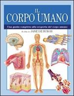 Il corpo umano. Ediz. illustrata