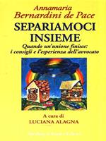 Separiamoci insieme. I consigli e l'esperienza di un famoso avvocato per lasciarsi senza traumi