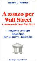 A zonzo per Wall Street. A random walk down Wall Street