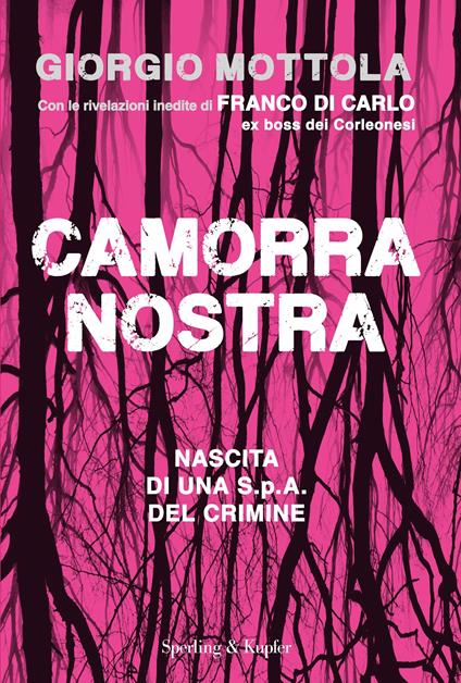 Camorra nostra. Nascita di una S.p.a. del crimine - Giorgio Mottola - ebook