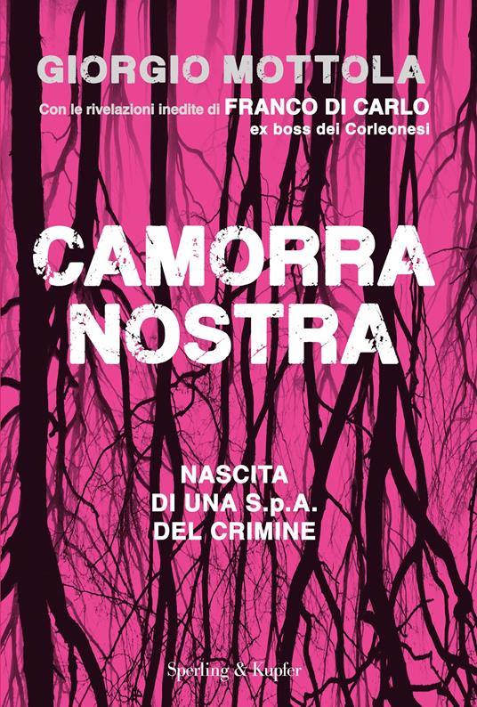 Camorra nostra. Nascita di una S.p.a. del crimine - Giorgio Mottola - ebook