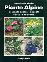 Piante alpine di prati alpini, pascoli, rocce e morene