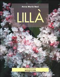 Lillà - Anna M. Bosi - copertina