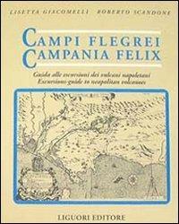 Campi Flegrei. Campania Felix. Il golfo di Napoli tra storia ed eruzioni. Guida alle escursioni dei vulcani napoletani - Lisetta Giacomelli,Roberto Scandone - copertina