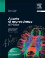 Atlante di neuroscienze di Netter - David L. Felten,Anil N. Shetty,E. Falcieri,M. Gulisano - ebook