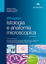 Wheater. Istologia e anatomia microscopica