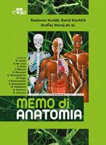 Memo di anatomia