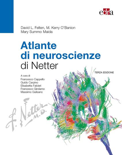 Atlante di neuroscienze di Netter - David L. Felten,M. Kerry O'Banion,Mary Summo Maida - copertina