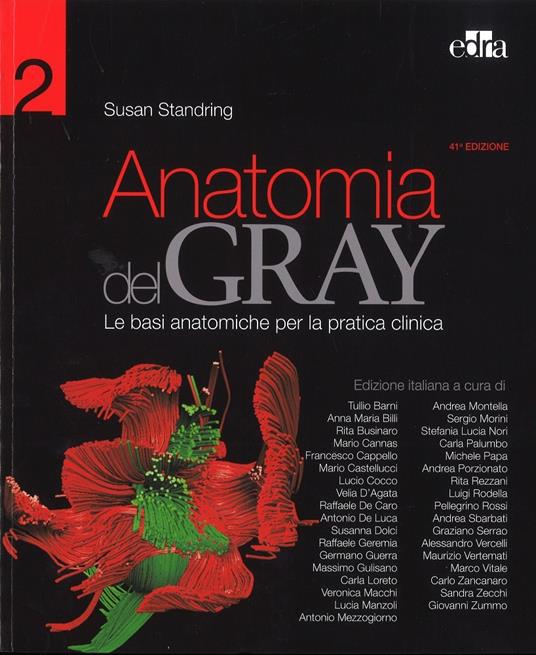 Netter Gray. L'anatomia. La chiarezza e il fascino dell'anatomia: Anatomia del Gray. Le basi anatomiche per la pratica clinica-Atlante di anatomia umana - Frank H. Netter,Susan Standring - 4