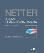 Netter. Atlante di anatomia umana