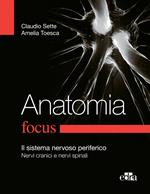 Anatomia focus. Il sistema nervoso periferico. Nervi cranici e nervi spinali