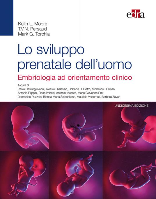 Lo sviluppo prenatale dell'uomo. Embriologia ad orientamento clinico - Keith L. Moore,T. V. Persaud,Mark G. Torchia - copertina