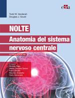 Nolte. Anatomia del sistema nervoso centrale